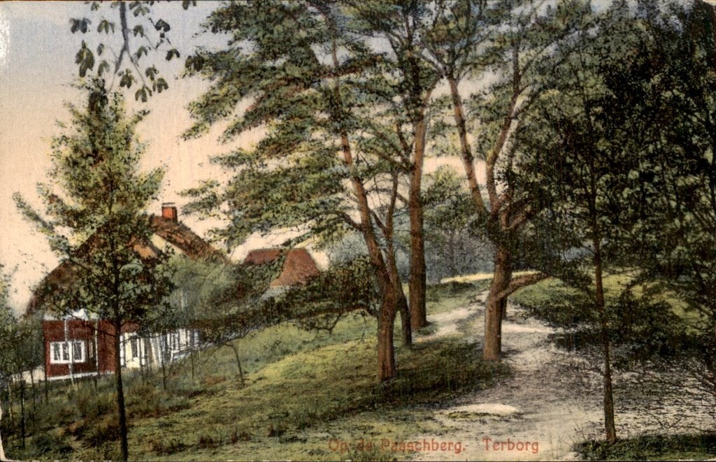 Terborg - Paaschberg - pad met bomen en huis, Ophalen of Verzenden, Voor 1920, Ongelopen, Gelderland
