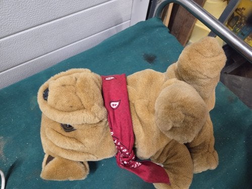knuffel bulldog frits struis, Ophalen of Verzenden, 'T Olde Gre-j, Info@toldegrej.nl, Endepoelstraat 20f Didam