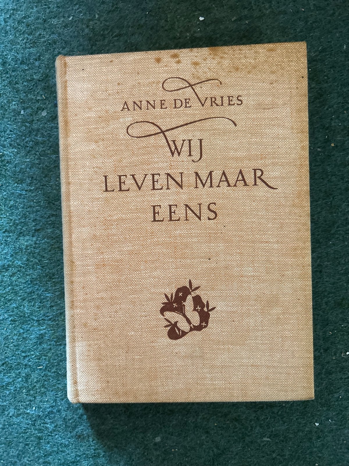 Wij Leven Maar Eens - Anne de Vries, Ophalen of Verzenden, Gelezen, Nederland