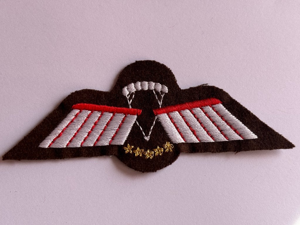 KCT Parawing D (vrije val, HAHO/HALO), DT, Verzamelen, Verzenden, Landmacht, Nederland, Kleding of Schoenen