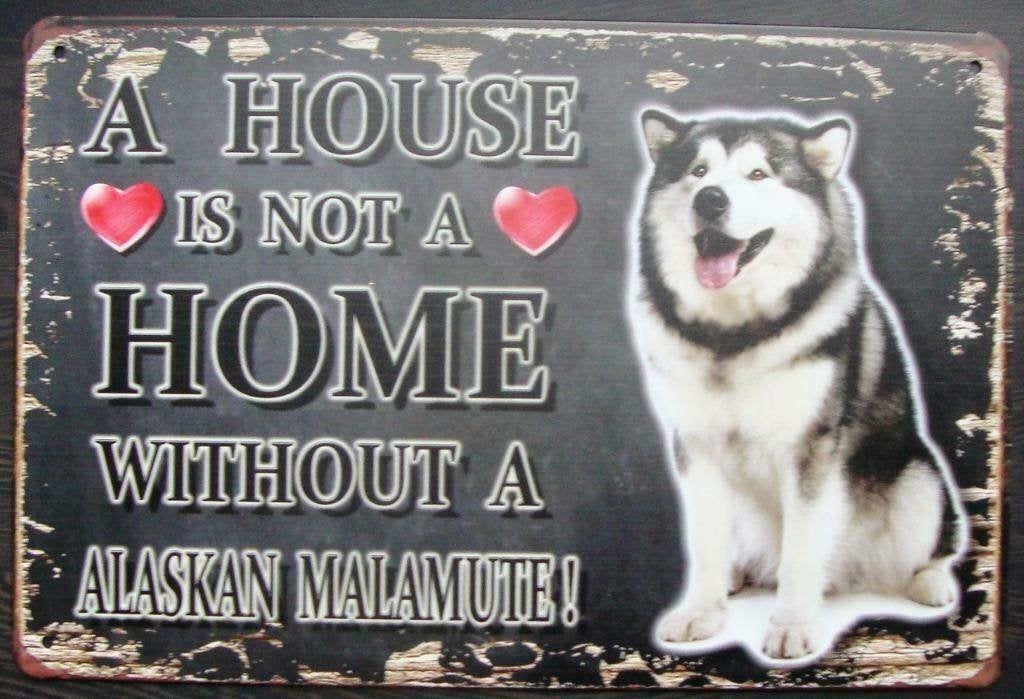 Metalen Tekstbord Alaskan Malamute '' Husky '' - nieuw, Tekstbord, Metaal, 30 cm, Nieuw