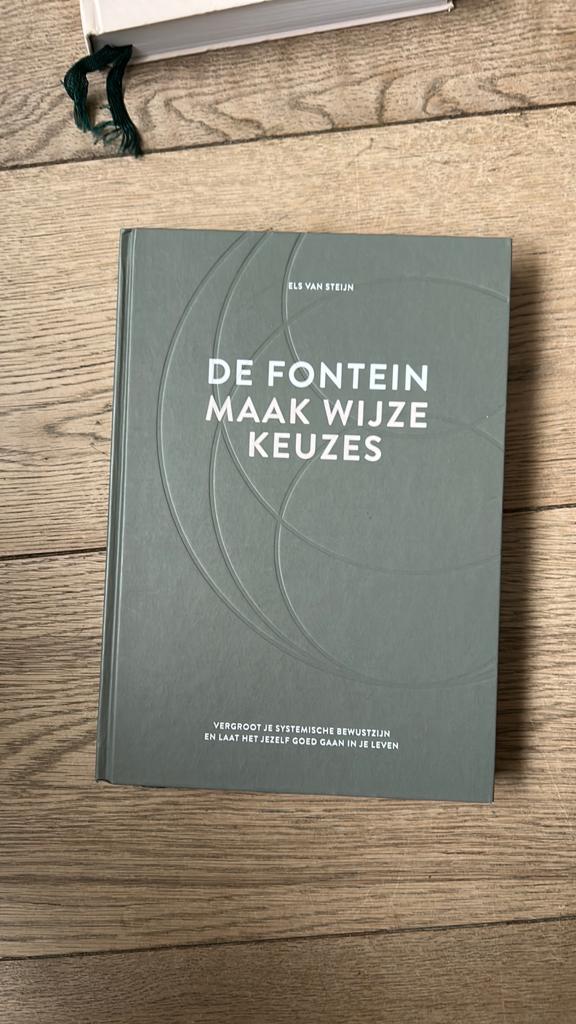 Els van Steijn - De fontein, maak wijze keuzes, Boeken, Ophalen of Verzenden, Nieuw, Els van Steijn