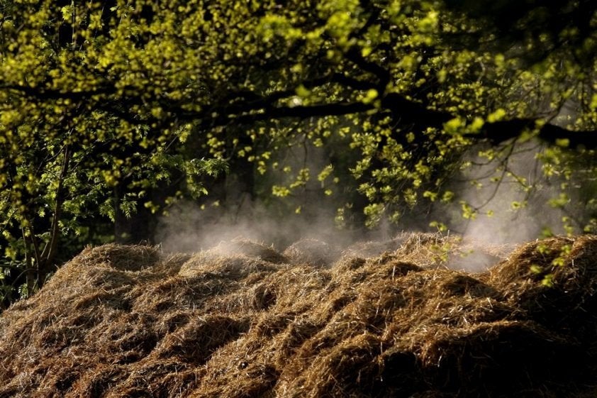 Stalmest - paardenmest van vlas kan geladen worden!, Ophalen, Tuinaarde
