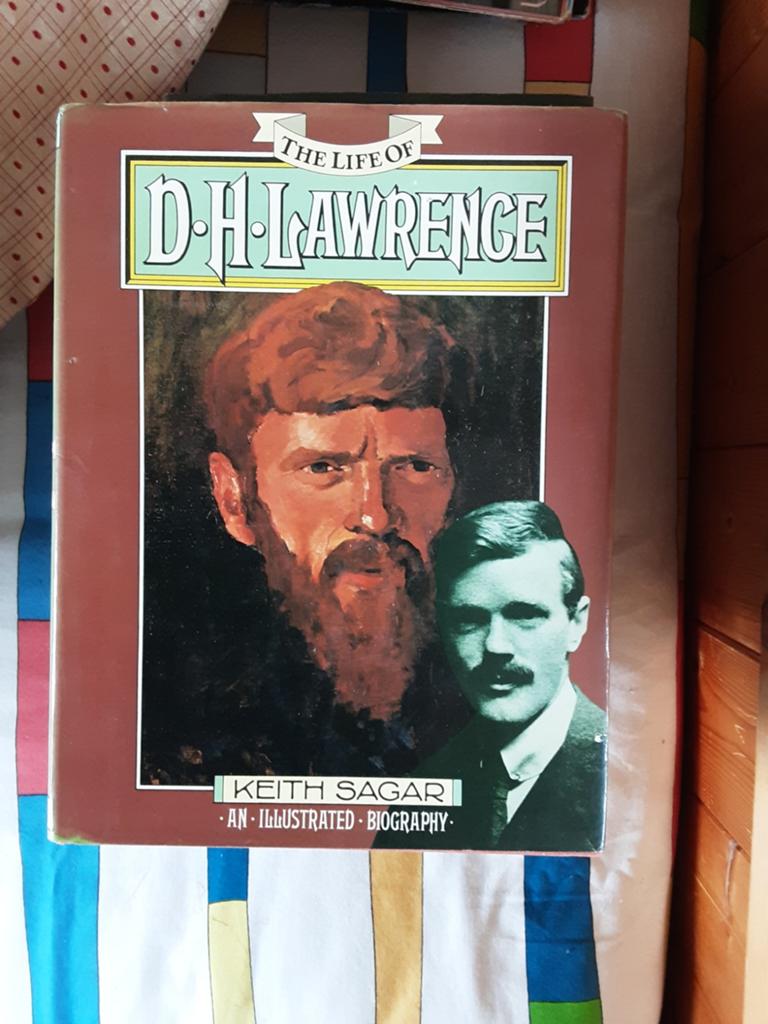 D.H.Lawrence, Ophalen of Verzenden, Politiek