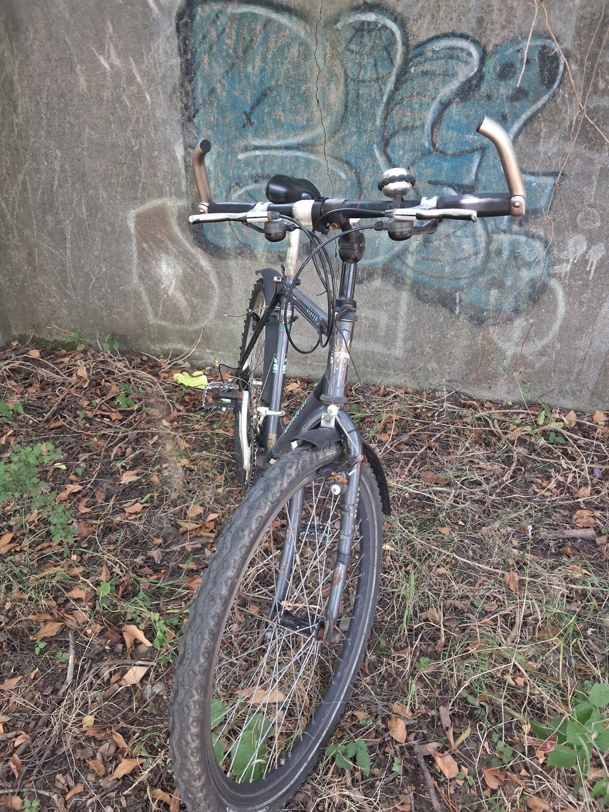Goede fiets, Ophalen, Staal, Velgrem, Voetsteunen