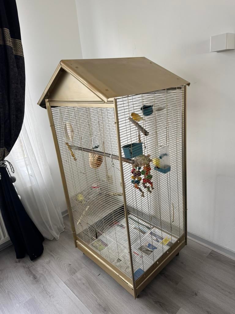 Twee kanaries stelletje leggen ook eiren +kooi, Dieren en Toebehoren, Ophalen of Verzenden, Zo goed als nieuw, Hout, Vogelkooi