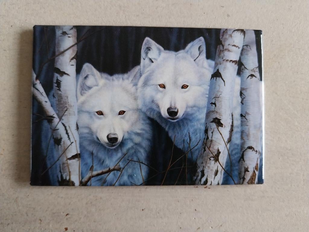 Magneet met 2 witte wolven NIEUW, Ophalen of Verzenden, Nieuw