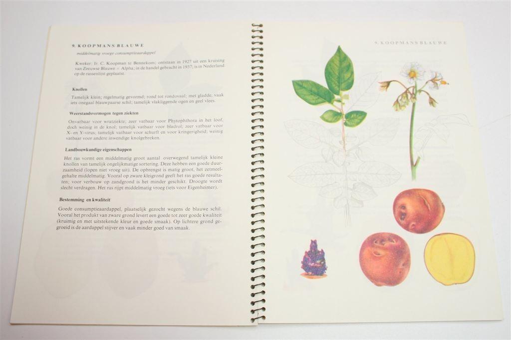 Kleine Aardappelatlas — 24 Rassen [Niet in De Handel], Ophalen of Verzenden, Gelezen