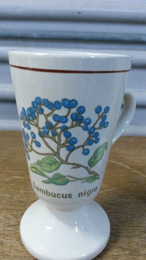 Koffiemokken op voet, 2 stuks met afbeelding: 1x Sambucus Ni, Ophalen of Verzenden, 'T Olde Gre-j, Info@toldegrej.nl, Endepoelstraat 20f Didam