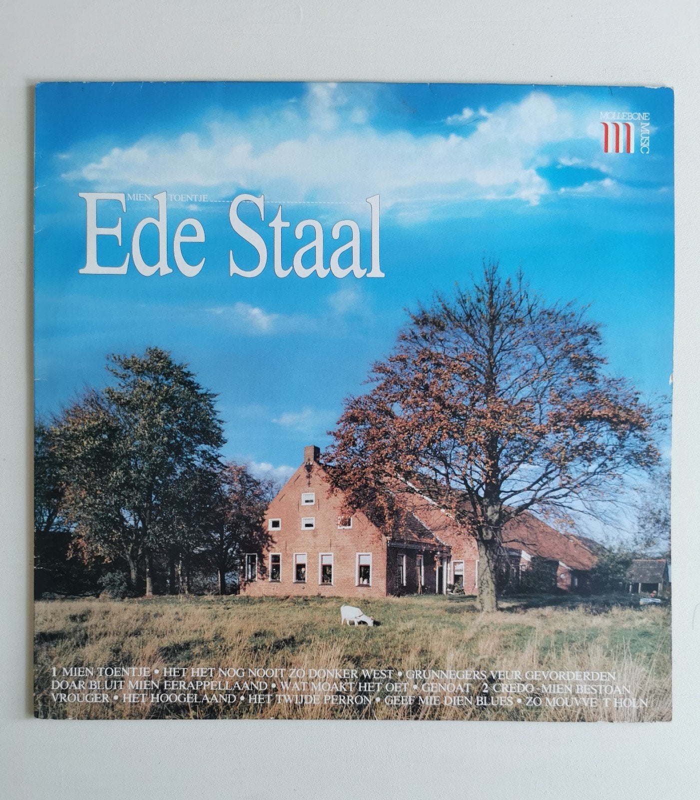 Ede Staal - Mien Toentje LP (1984), LP, Gebruikt, Originele persing, Ophalen of Verzenden