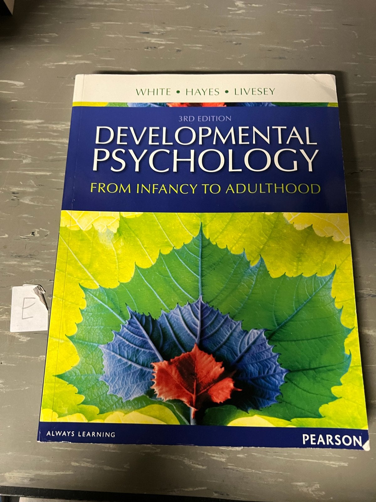 Developmental Psychology: From Infancy to Adulthood, Ophalen of Verzenden, Gamma, Zo goed als nieuw, WO