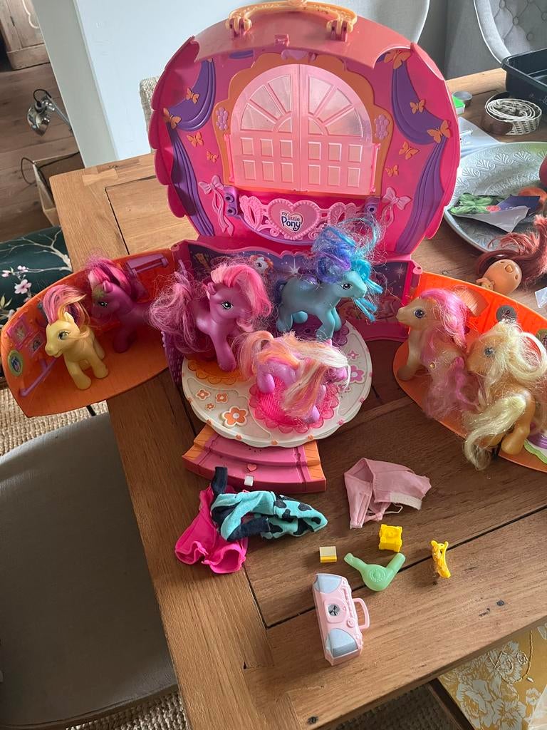 My Little Pony Kasteel met pony's en accessoires, Kinderen en Baby's, Speelgoed | My Little Pony, Ophalen, Gebruikt
