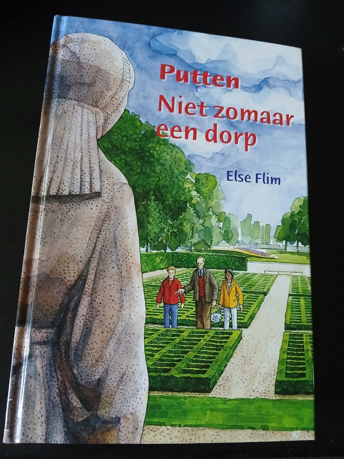 Putten niet zomaar een dorp, Boeken, Ophalen of Verzenden, Nieuw, Else flim
