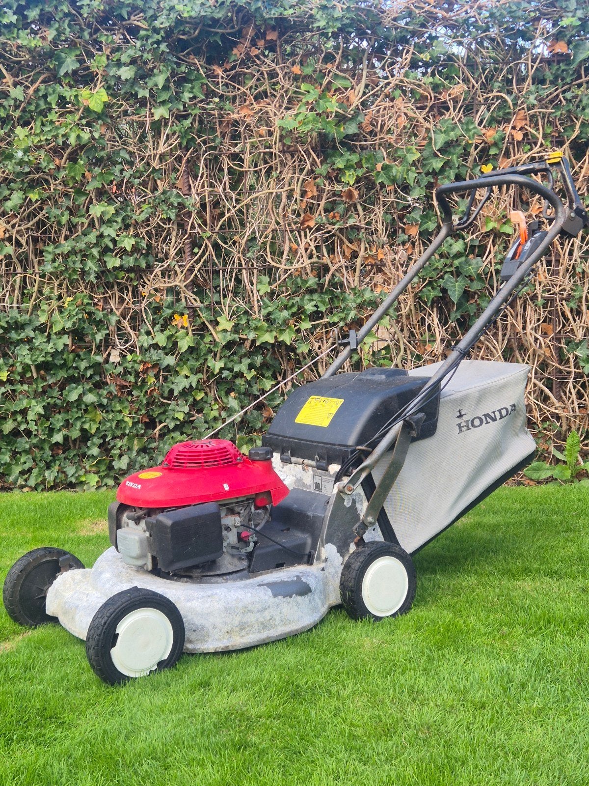 HONDA HRD 536C ALUMINIUM MAAIDEK AANGEDREVEN MESKOPPELING, Ophalen, 50 cm of meer