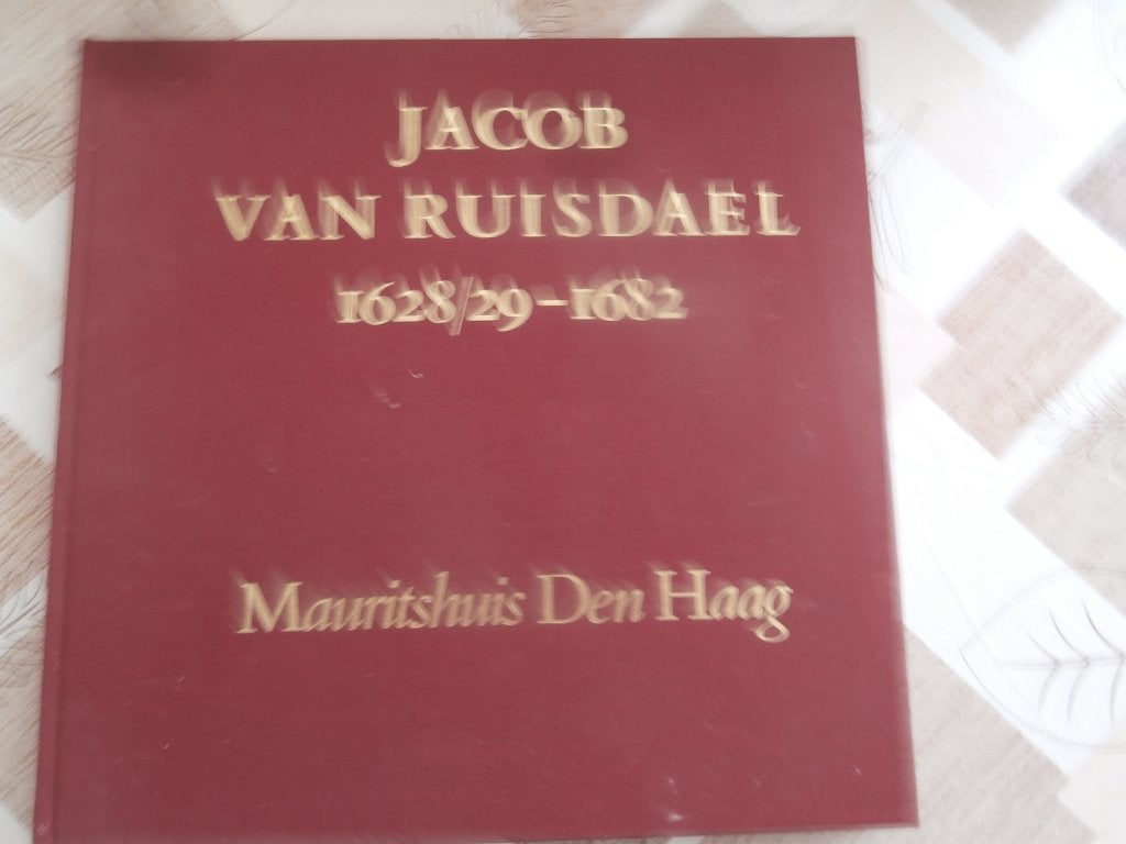 Museum Mauritshuis tentoonstelling 1982, Ophalen of Verzenden, 19e eeuw, Zo goed als nieuw