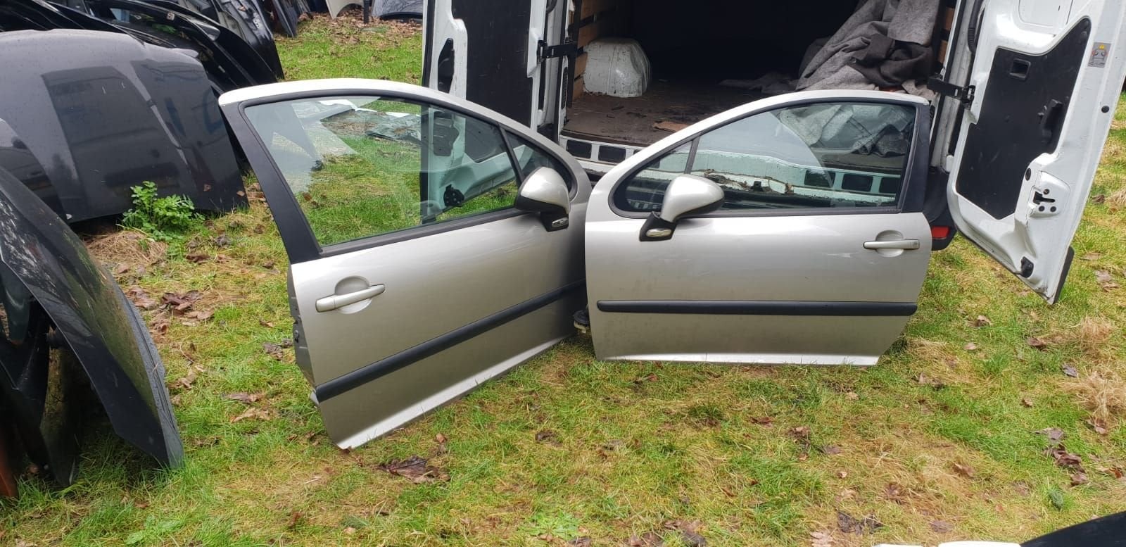 PEUGEOT 207 PORTIEREN BJ 2005 TOT 2010, Gebruikt, -, Deur, -