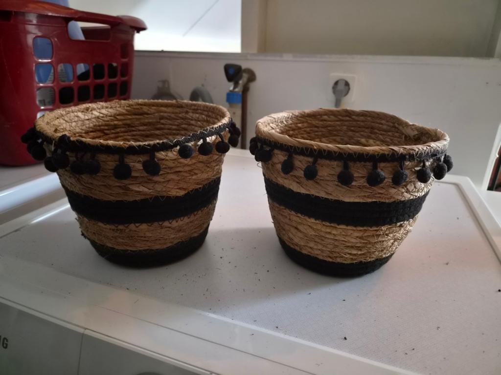 Set Rieten mandjes 18cm, Ophalen, Halfschaduw, Minder dan 100 cm