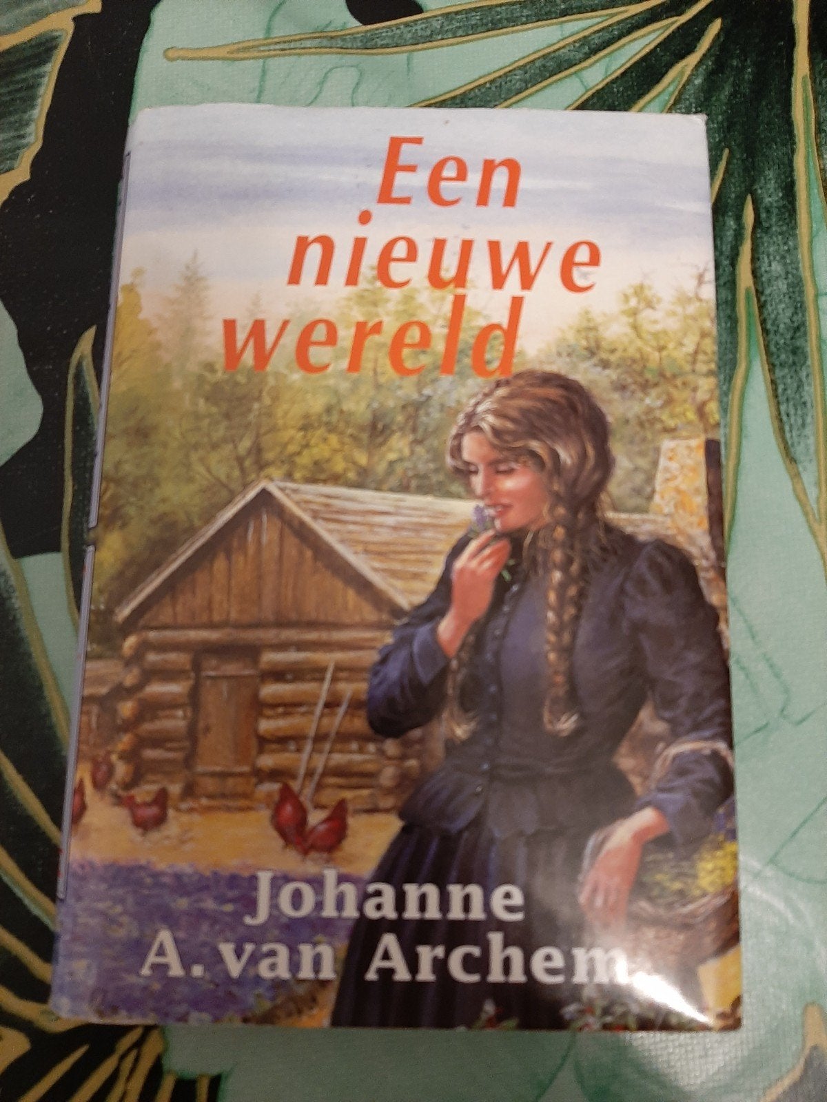 Een nieuwe wereld. Johanne A van Archem, Boeken, Ophalen of Verzenden, Zo goed als nieuw