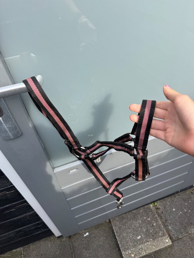Halster, Dieren en Toebehoren, Ophalen of Verzenden, Zo goed als nieuw, Halster, Pony