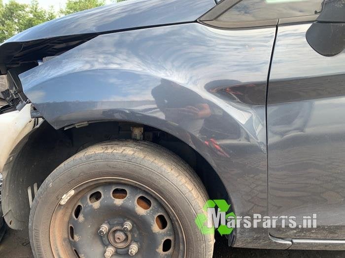 Scherm links-voor van een Ford Fiesta, Gebruikt, -, -, Ophalen of Verzenden