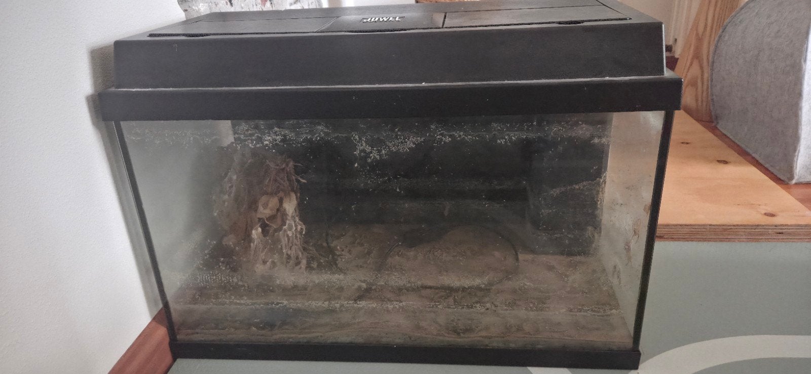 2 Aquariums en toebehoren, Dieren en Toebehoren, Vissen | Aquaria en Toebehoren, Ophalen, Leeg aquarium