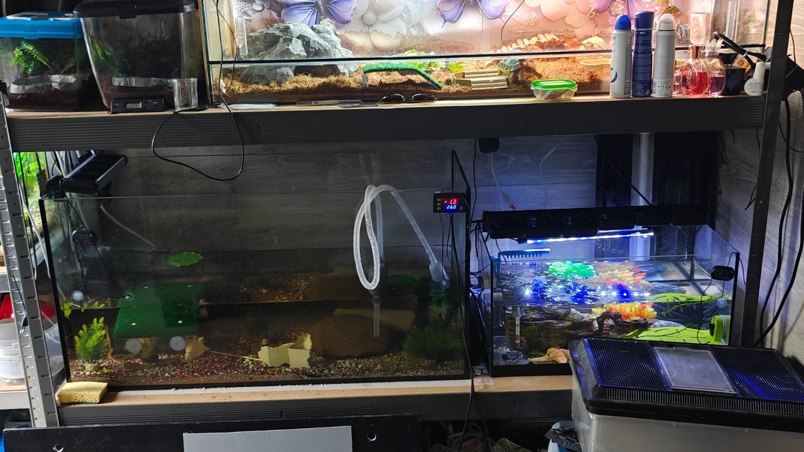 2 aquarium plus items, Ophalen, Zo goed als nieuw, Leeg aquarium
