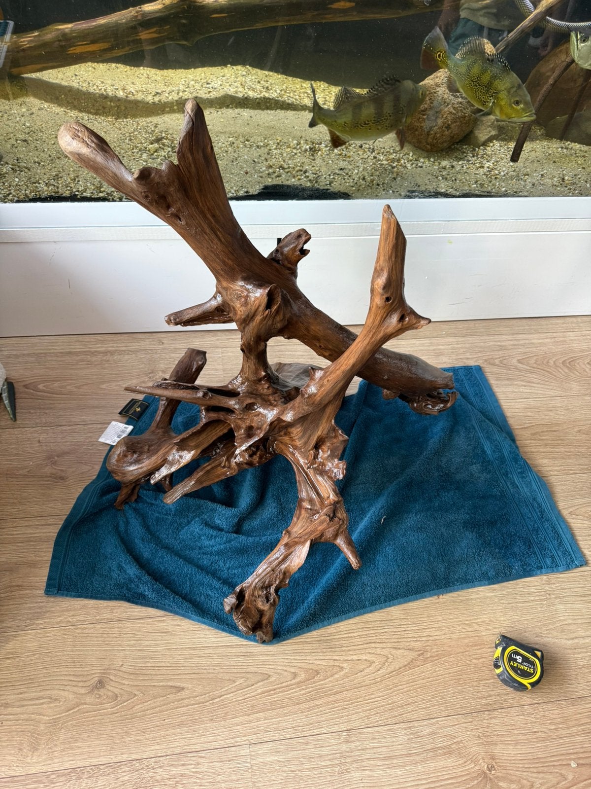 Mangrove wortel XL  79x45x55, Vis