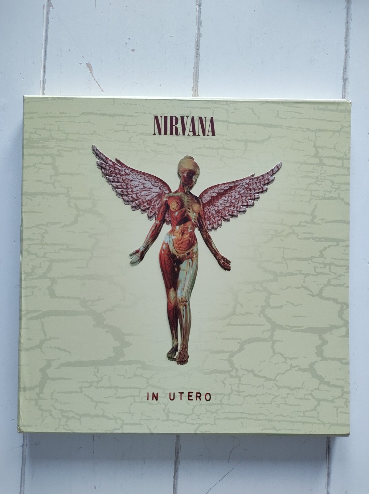 Nirvana In Utero 20th anniversary edition, Bonusmateriaal, Boxset, Ophalen of Verzenden, Zo goed als nieuw