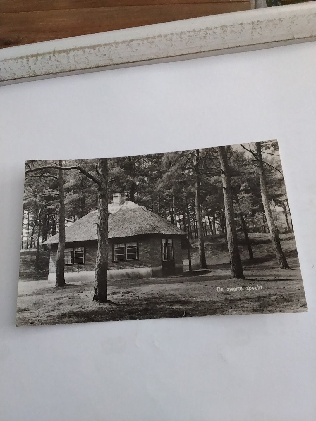 Ansichtkaart 'De Zwarte Specht' Vakantiecentrum Saxenheim, Ophalen of Verzenden, 1940 tot 1960, Gelopen