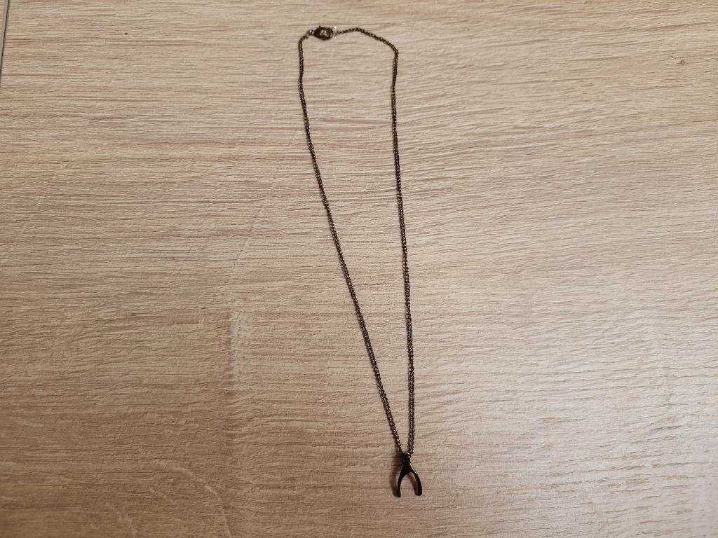 Bronskleurige ketting met hangertje ~ LL0605, Sieraden, Tassen en Uiterlijk, Kettingen, Ophalen of Verzenden, Gebruikt, Bruin