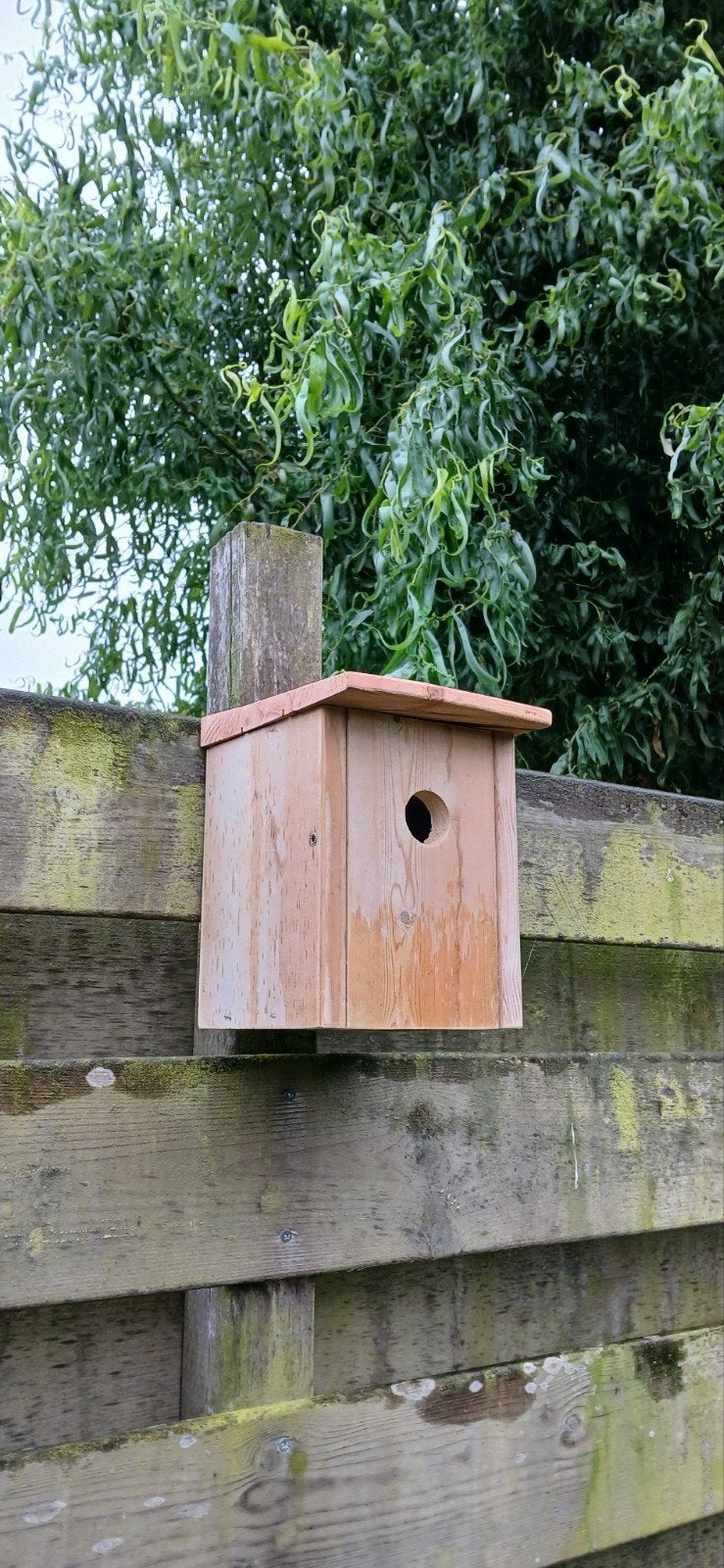 Nestkasjes, Ophalen of Verzenden
