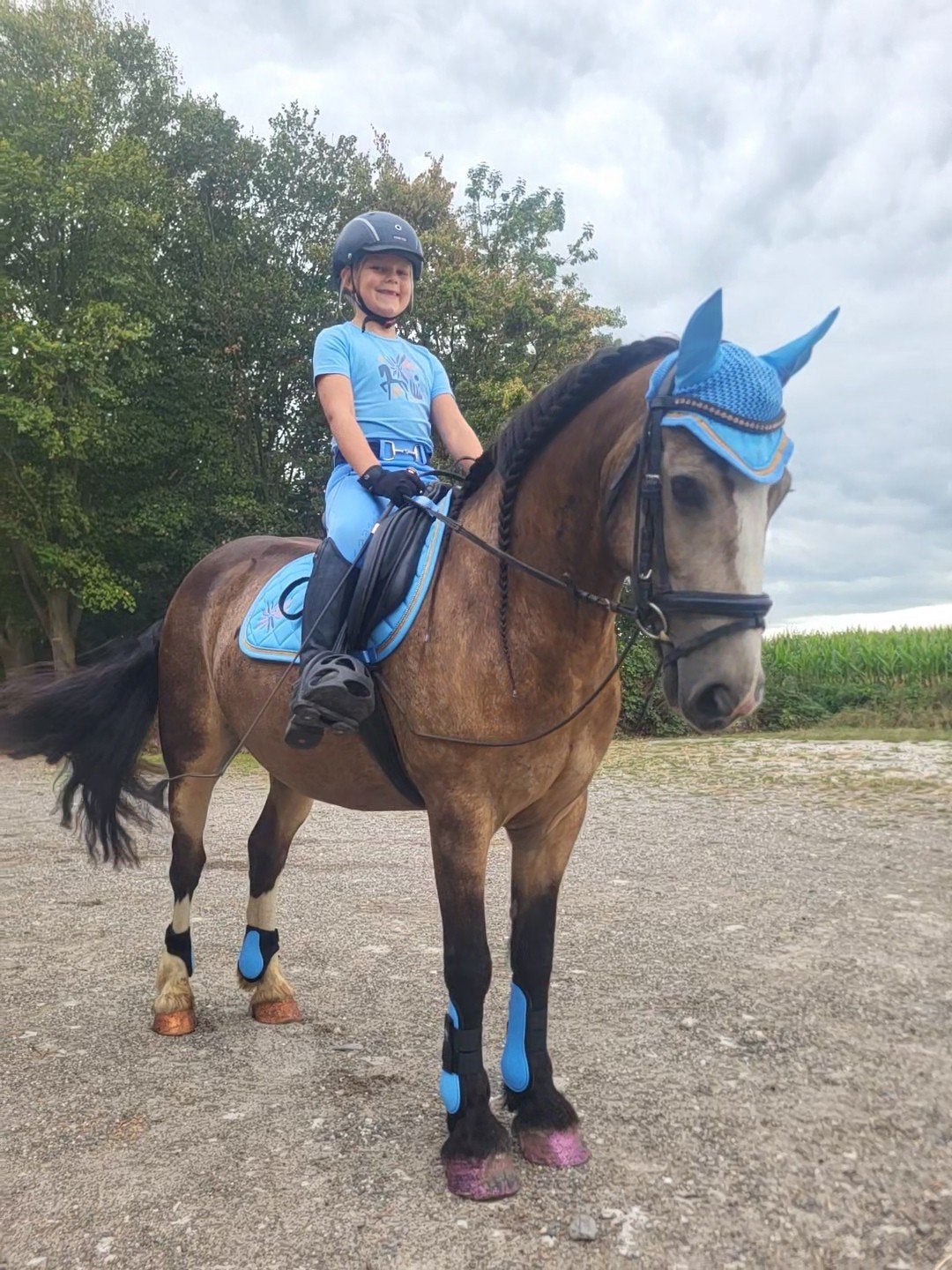 Super lieve en robuuste C-pony Jippie, B, C pony (1.27m tot 1.37m), 7 tot 10 jaar, Recreatiepony
