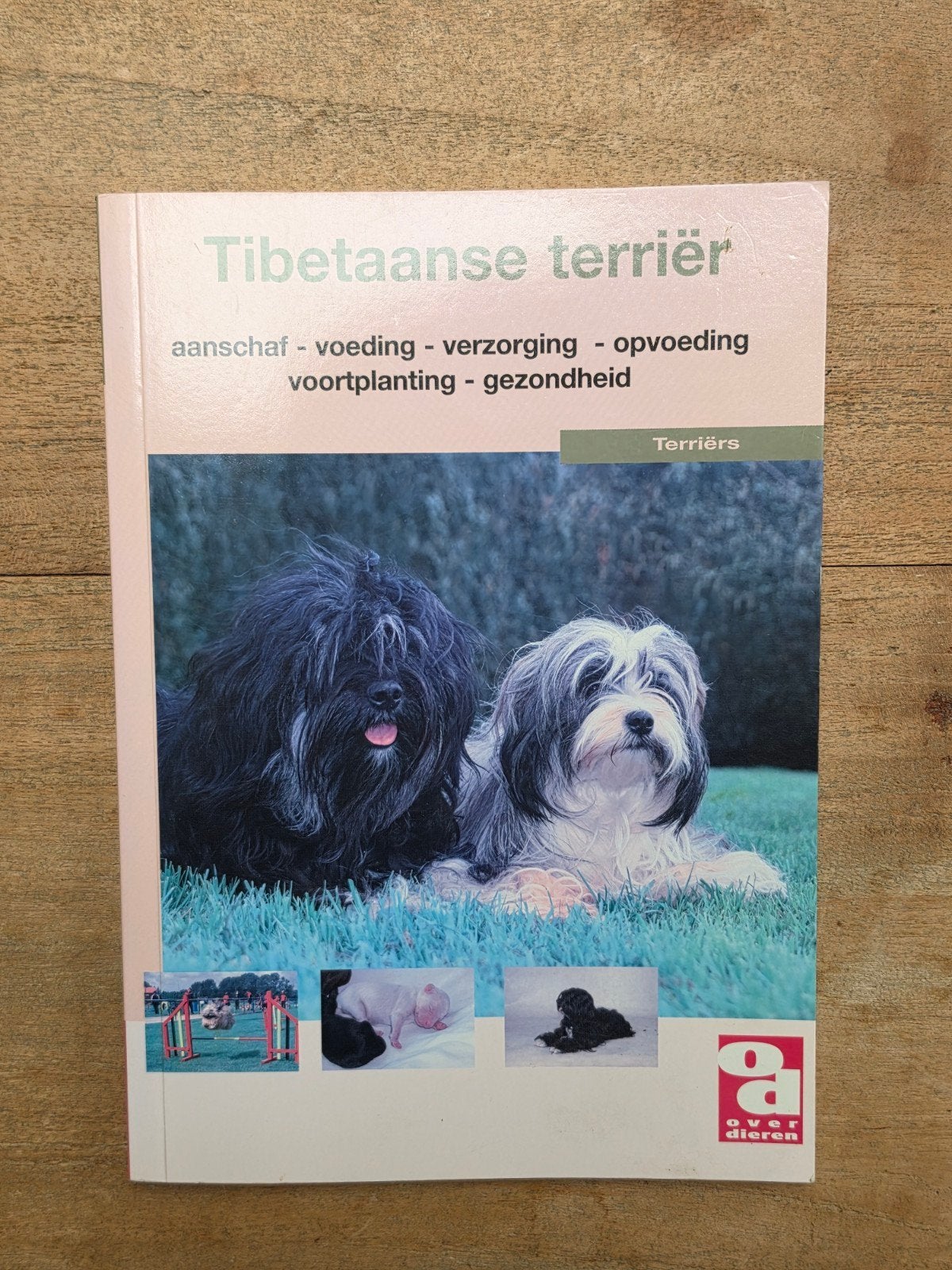 TIBETAANSE TERRIËR Boek over aanschaf, voeding en verzorgin, Ophalen of Verzenden, Zo goed als nieuw, Honden, Onbekend