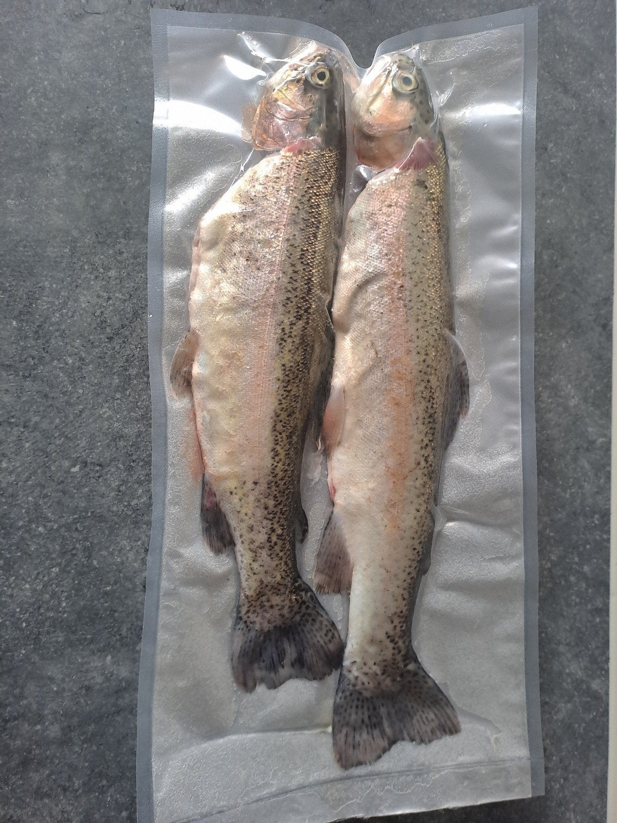 Verse forel, Ophalen