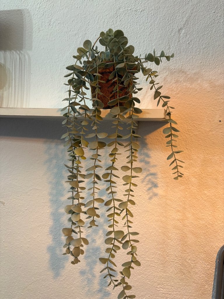 Hangplant (nep), Huis en Inrichting, Groen, Kunstplant, Overige materialen, Ophalen of Verzenden