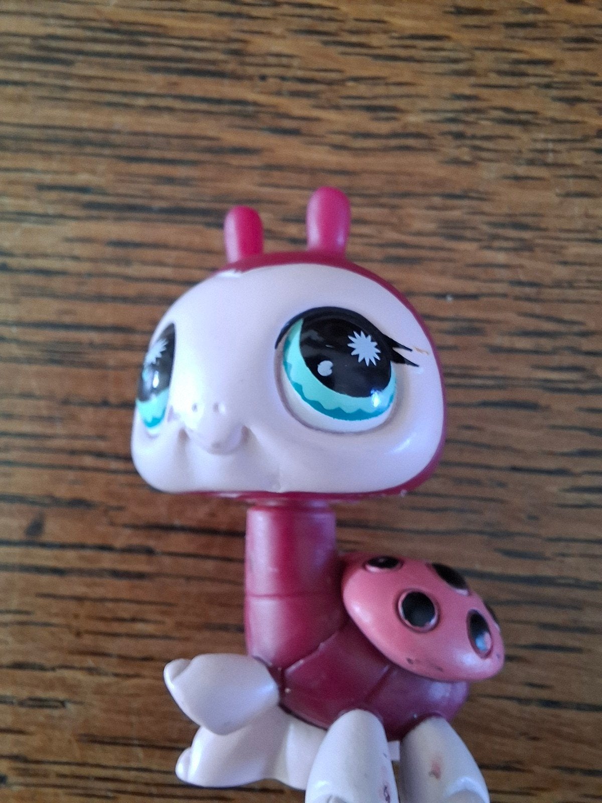 Originele Hasbro Littlest Pet Shop #888 Lieveheersbeestje (2, Ophalen of Verzenden