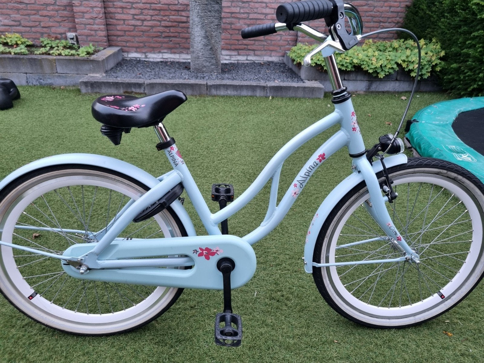 Alpina Ocean 22 inch meisjesfiets in prima staat, Fietsen en Brommers, Ophalen, Zo goed als nieuw, 22 inch, Alpina ocean
