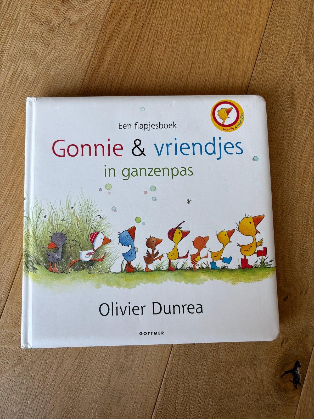 Gonnie & vriendjes in ganzenpas - Flapjesboek, Boeken, Ophalen, Fictie algemeen, Uitklapboek, Jongen of Meisje