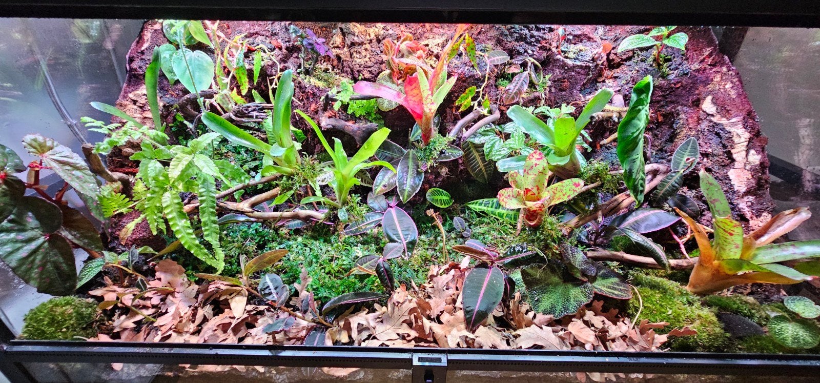 terrarium 45/45/90, Dieren en Toebehoren, Ophalen