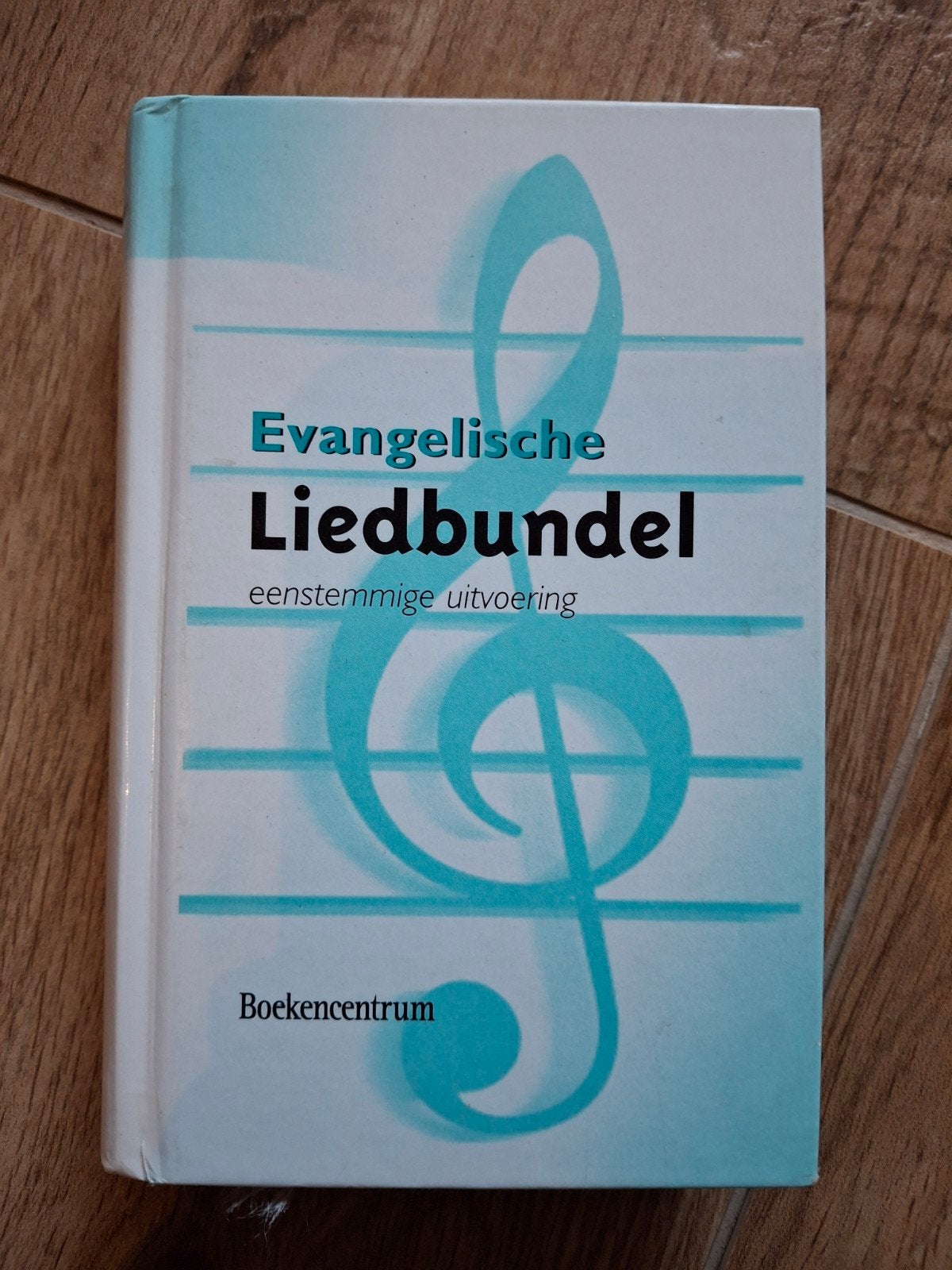 Evangelische liedbundel, Boeken, Ophalen of Verzenden, Zo goed als nieuw