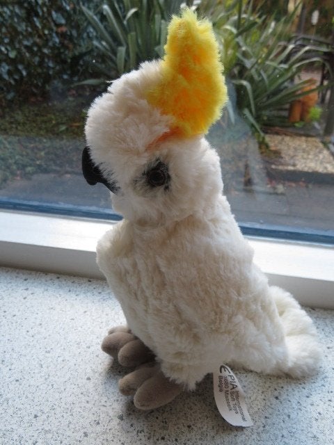 Witte Kaketoe met gele kuif merk PIA Soft Toys dierentuin, Overige typen, Ophalen of Verzenden, Zo goed als nieuw, Middelgroot (20 tot 80 cm)