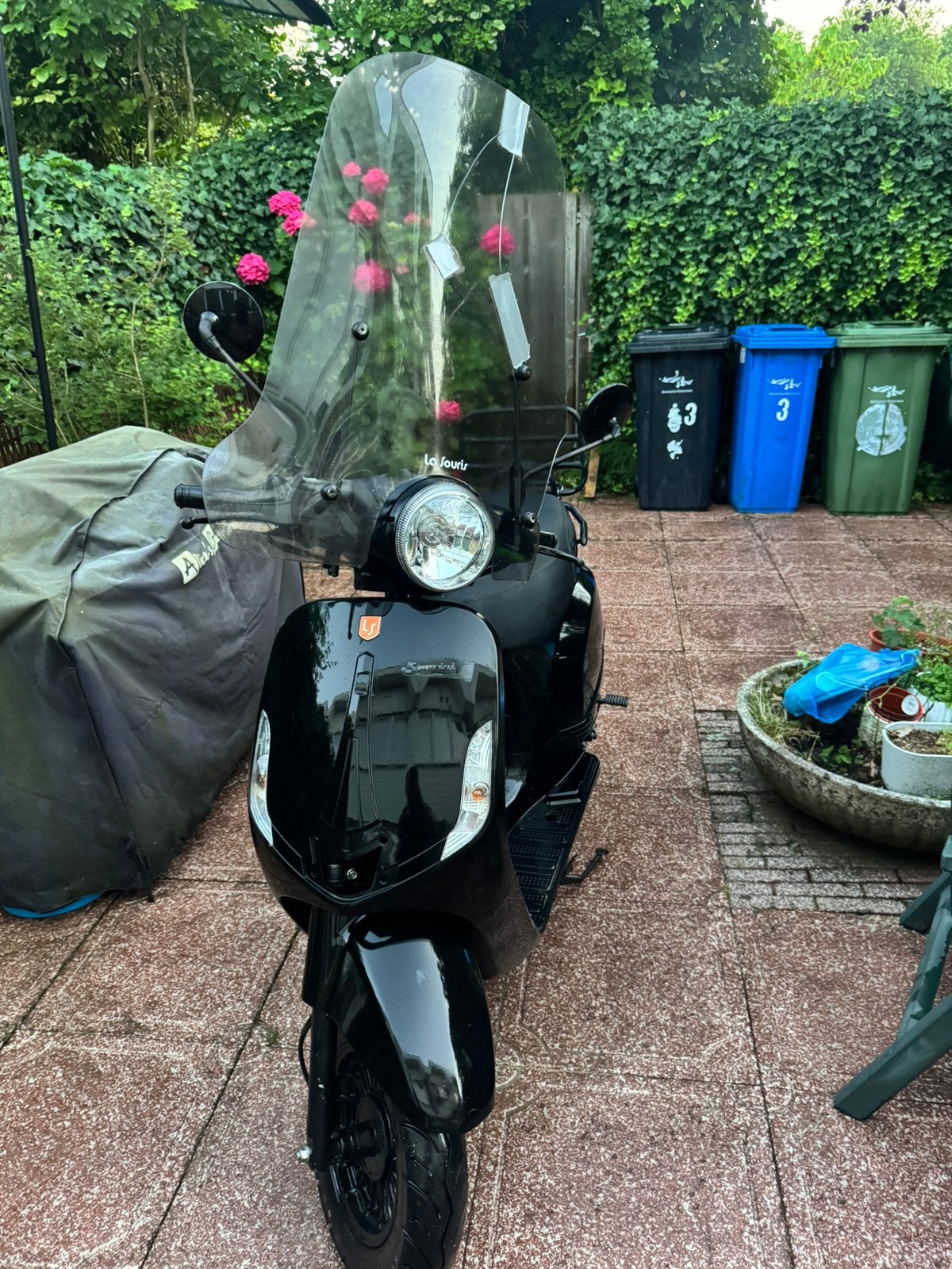 La souris, Ophalen, Zo goed als nieuw, Benzine, Overige merken