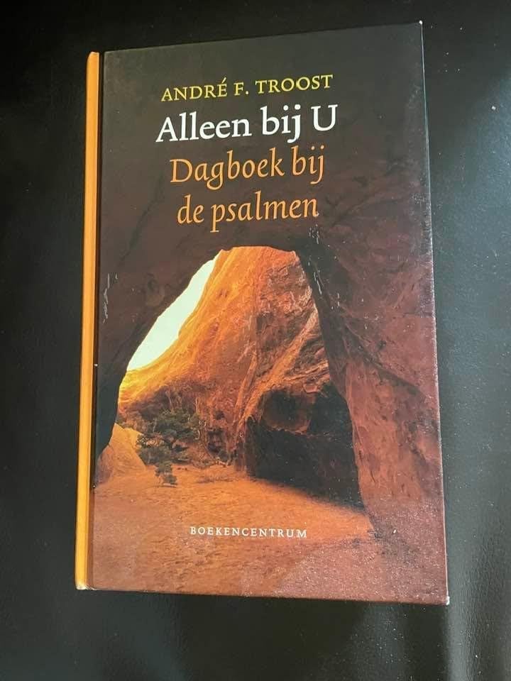 Alleen bij u dagboek bij de psalmen – andre f.troost, Boeken, Ophalen of Verzenden, Zo goed als nieuw, Andre f.troost, Christendom | Katholiek