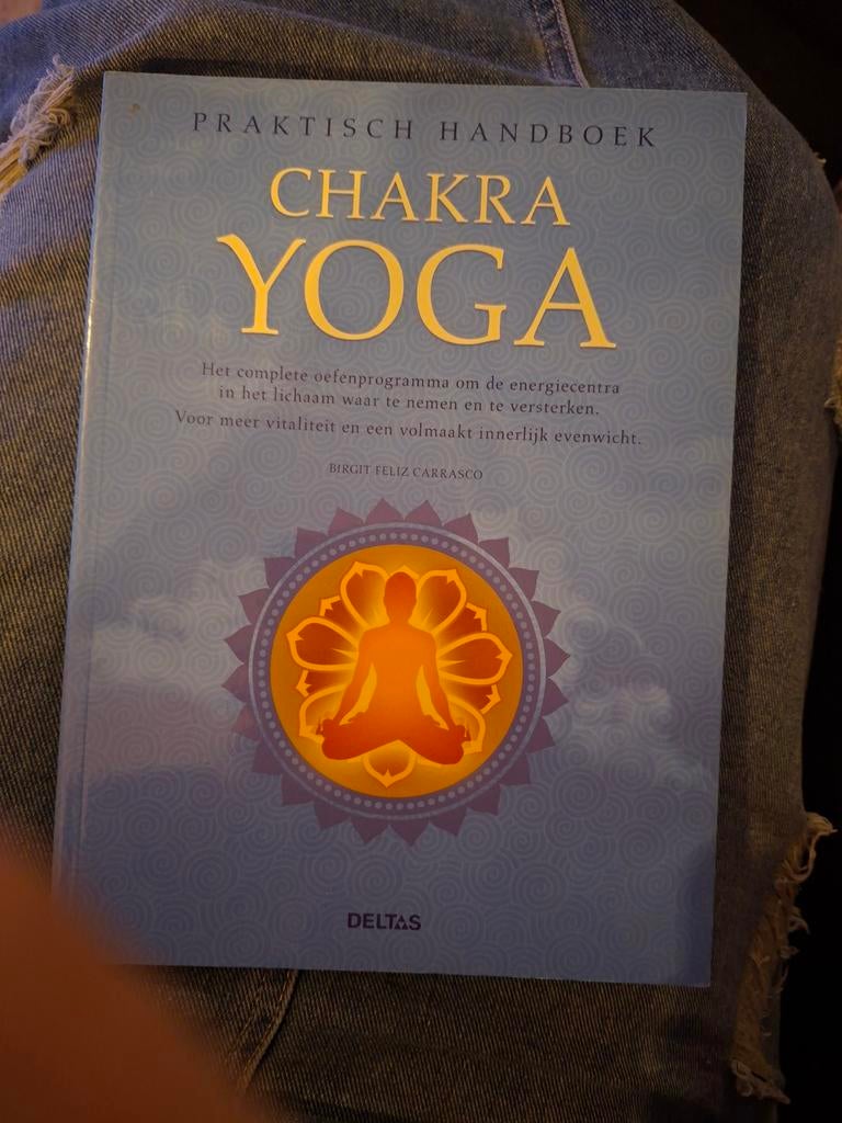 B. Feliz Carrasco - Chakra Yoga, Achtergrond en Informatie, Spiritualiteit algemeen, Ophalen of Verzenden, Zo goed als nieuw