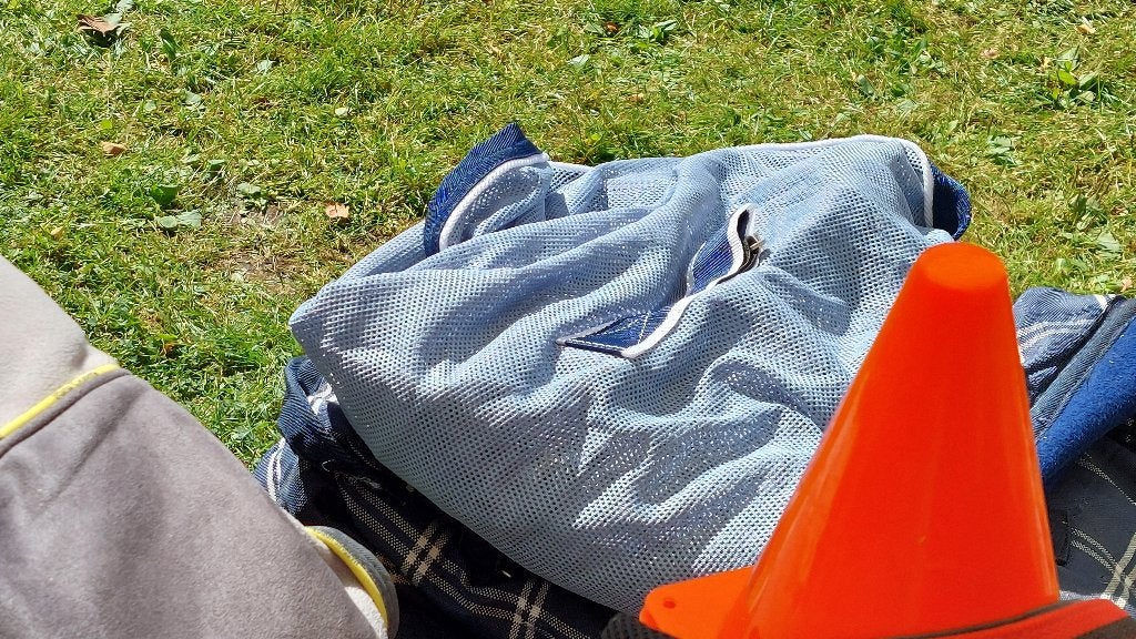 Paardenspullen, Cob (M), Ophalen of Verzenden, Gebruikt, Overige typen