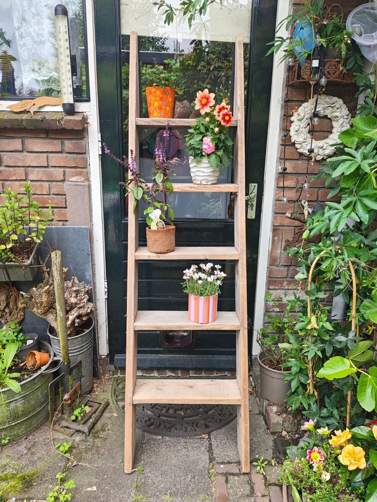 Mooie houten plantenladder voor binnen of buiten, Doe-het-zelf en Verbouw, Ophalen, Gebruikt, Ladder, Minder dan 2 meter