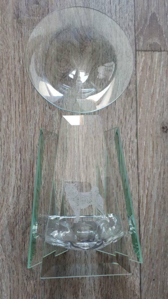 Geurbrander glas met shiba inu gravure, Huis en Inrichting, Ophalen of Verzenden, Nieuw, Glas, Geurverspreider