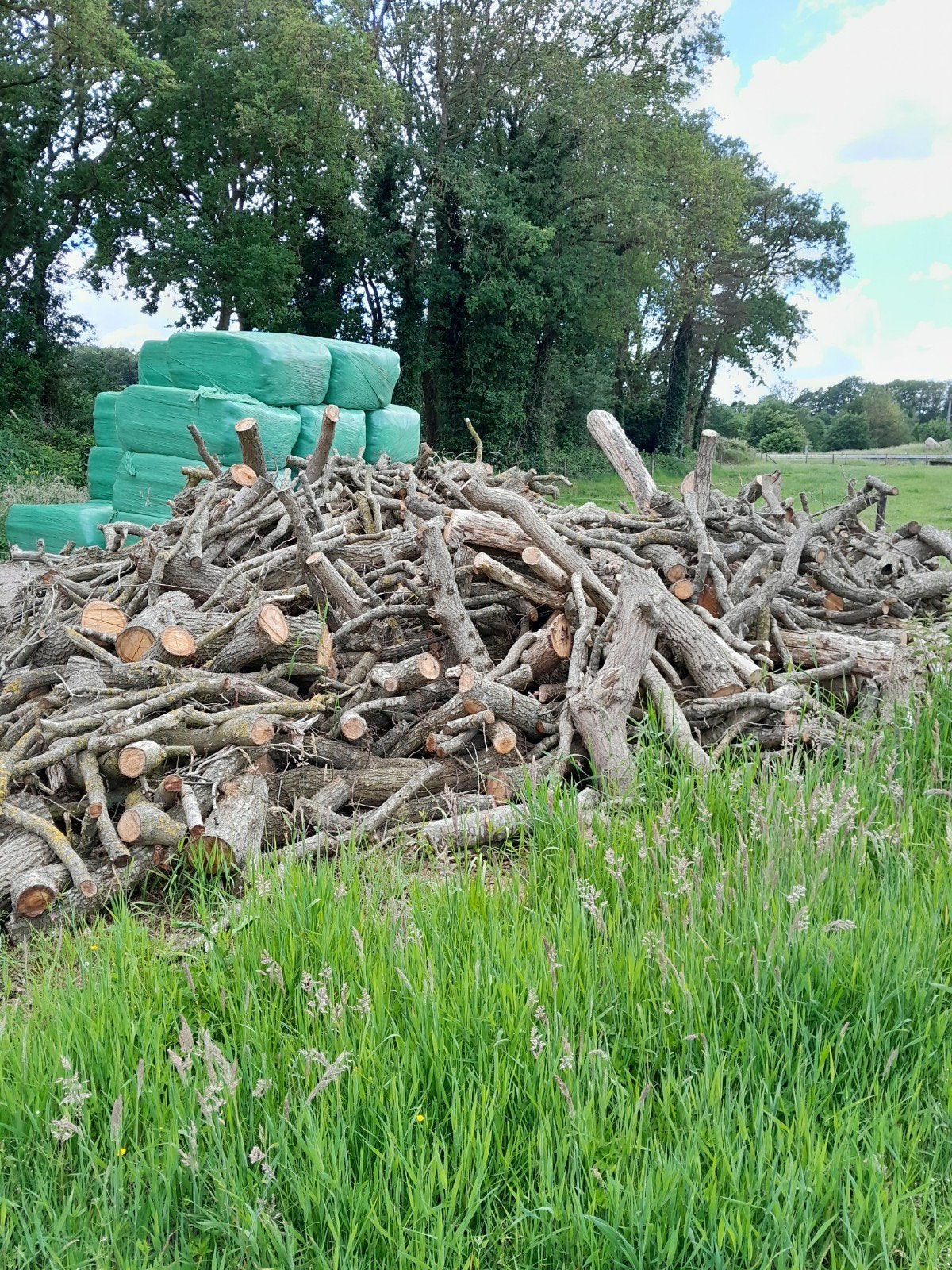 Haardhout, Minder dan 3 m³, Ophalen
