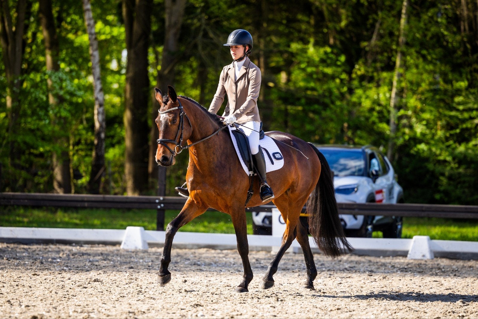 Talentvolle 5 jarige spring merrie, Dieren en Toebehoren, Paarden, Merrie, Springpaard, 3 tot 6 jaar, 160 tot 165 cm