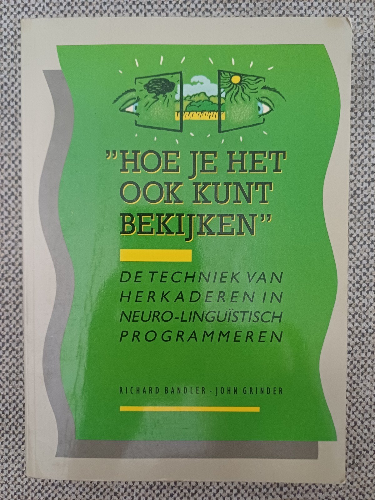 R. Bandler - Hoe je het ook kunt bekijken, Ophalen of Verzenden, Zo goed als nieuw, Ontwikkelingspsychologie, R. Bandler; J. Grinder